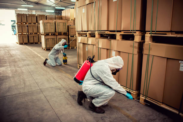 Best Ant Control Services  in Fris, CO