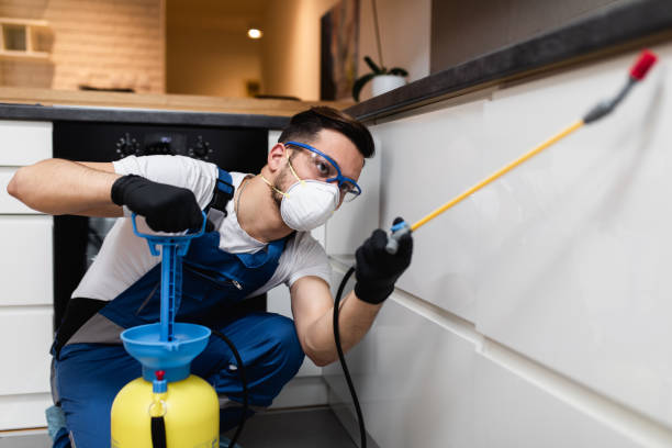Professional Pest Control in Frisco, CO