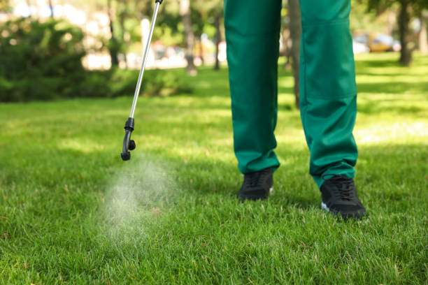 Best Exterminator Services  in Fris, CO