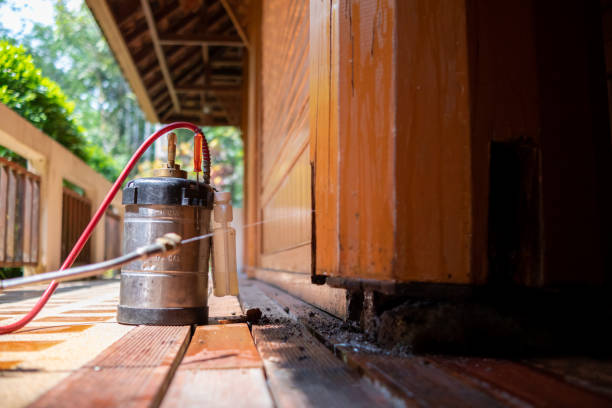 Best Pest Prevention Services  in Fris, CO