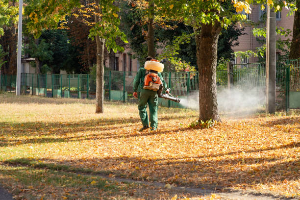 Best Best Pest Control Companies  in Fris, CO