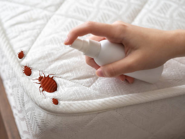 Best Flea Control Services  in Fris, CO