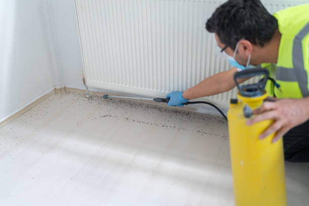 Best Bed Bug Extermination  in Fris, CO