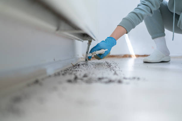 Best Emergency Pest Control  in Fris, CO